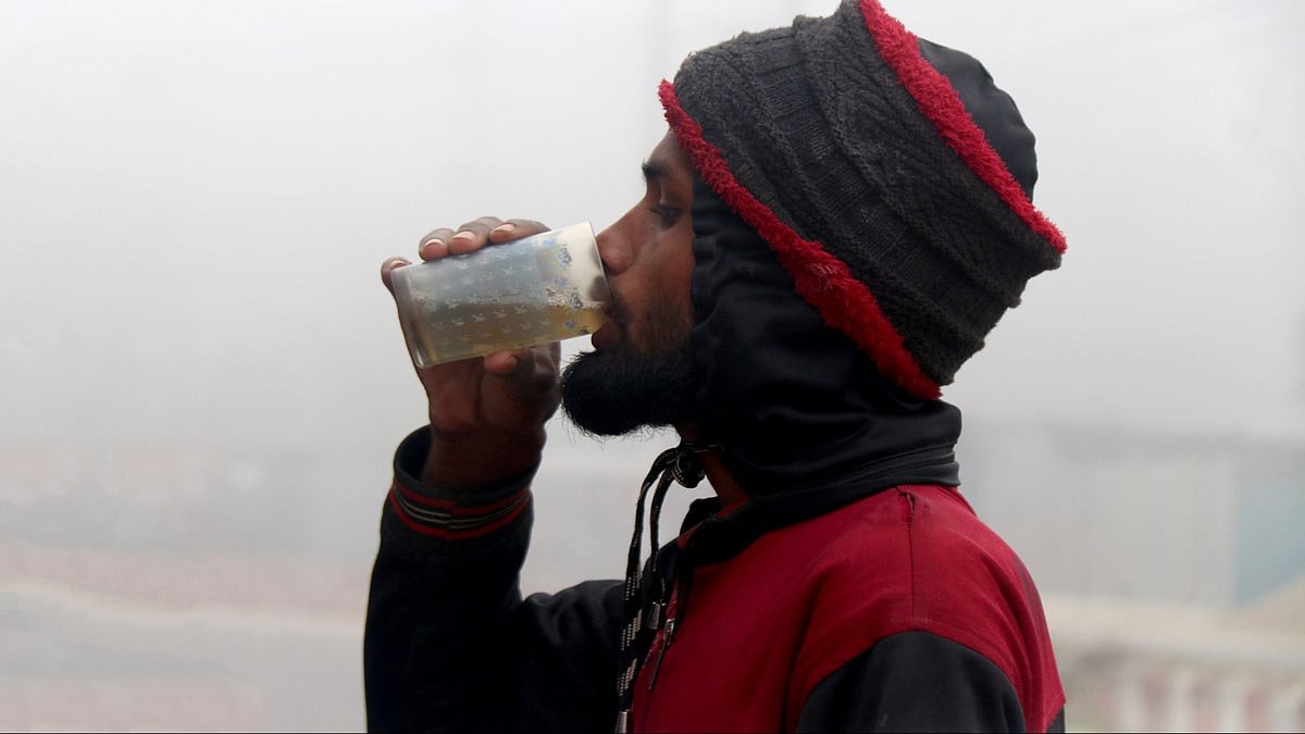 নিপাহ ভাইরাস সংক্রমণ নিয়ন্ত্রণ নিয়ে কিছু গুরুত্বপূর্ণ কথা